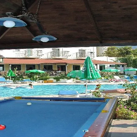 Hotel Ant